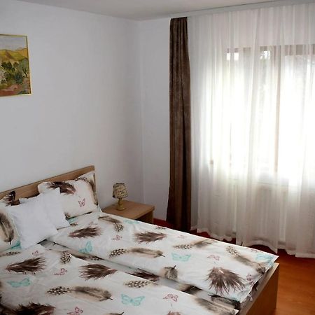Apartament Trei Stejari 锡比乌 外观 照片