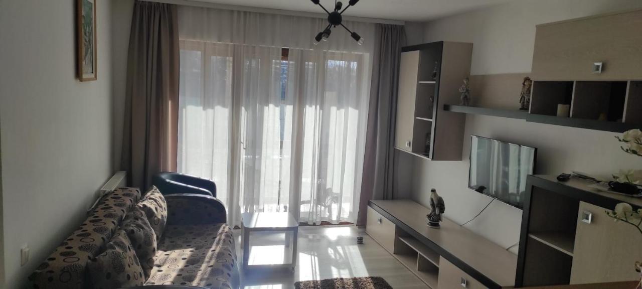 Apartament Trei Stejari 锡比乌 外观 照片